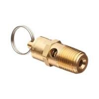 Клапан предохранительный 1/4", 5 Bar LT100 23114003, 23122001 для поршневого блока LT100 Клапан предохранительный 1/4", 5 Bar LT100 23114003, 23122001 для поршневого блока LT100 фото
