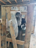 Поршневой компрессор Remeza СБ4/Ф-270.LB50B Поршневой компрессор Remeza СБ4/Ф-270.LB50B фото
